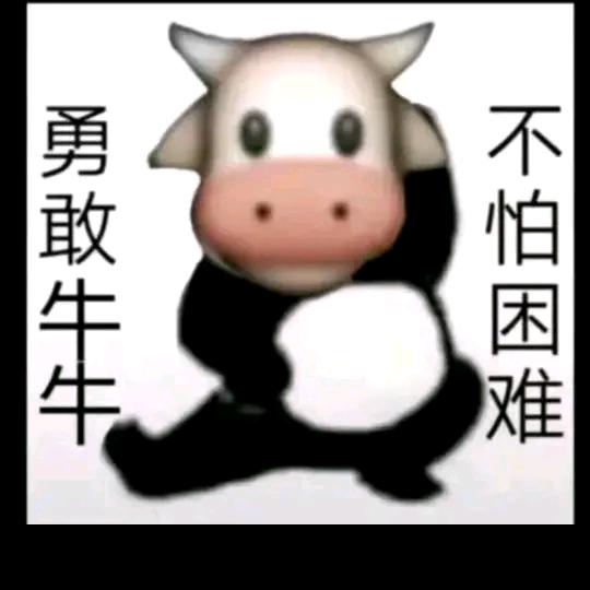 勇敢牛牛     不怕困难