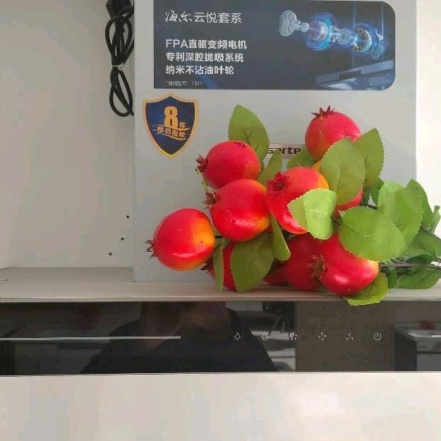 海尔电气油烟机