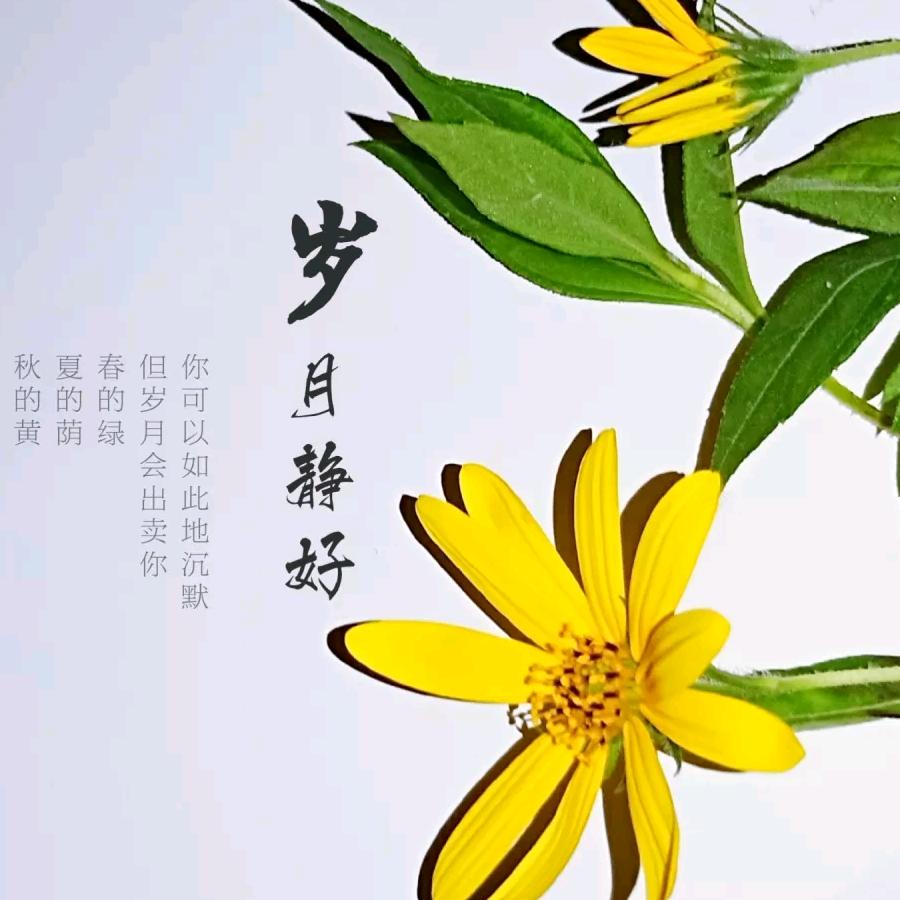 波若世界