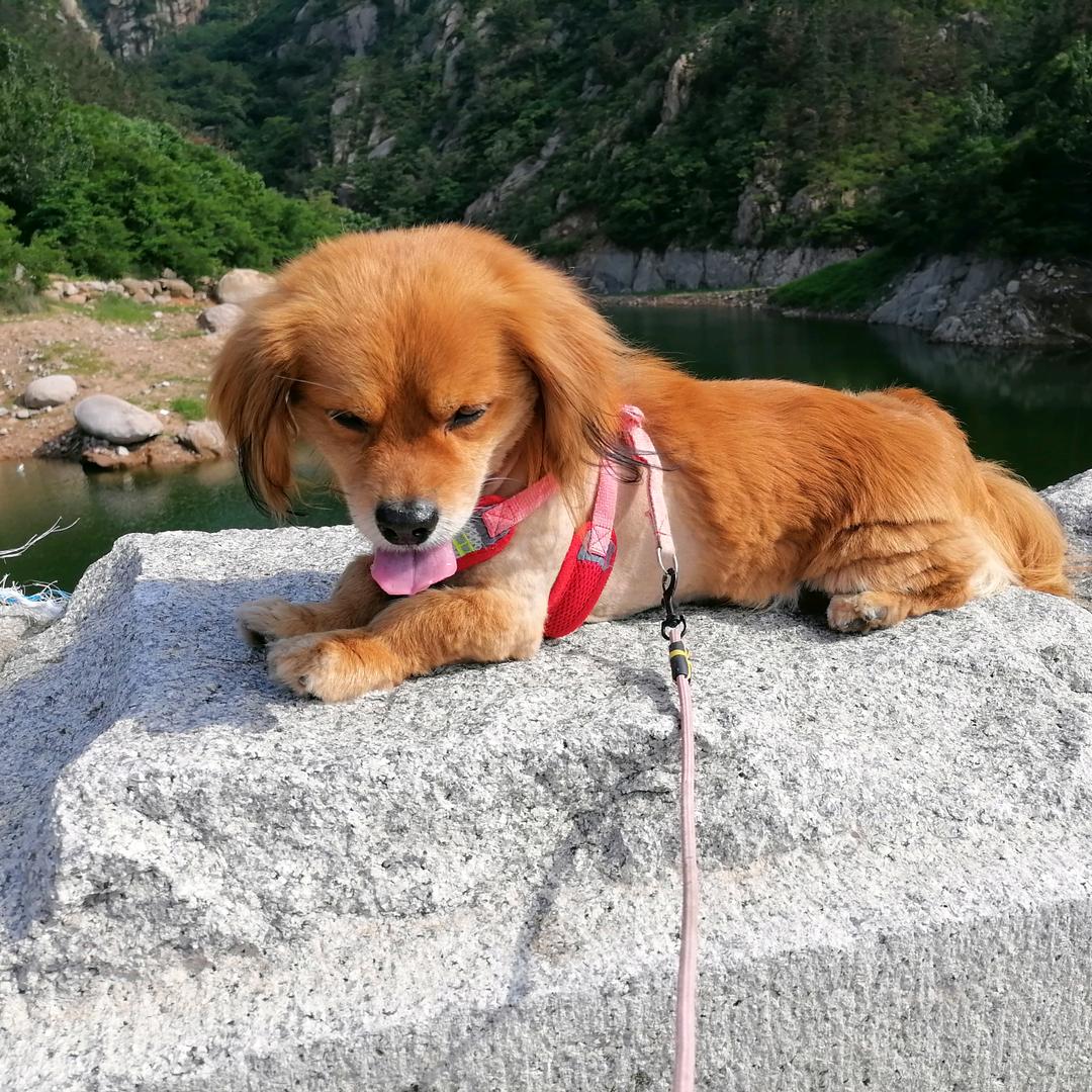 发艺艺