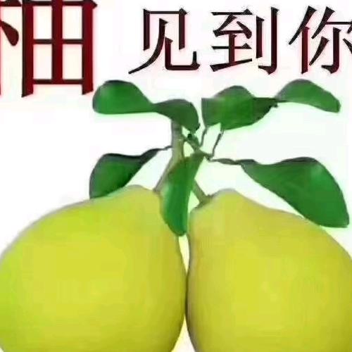 霞姐的农产品