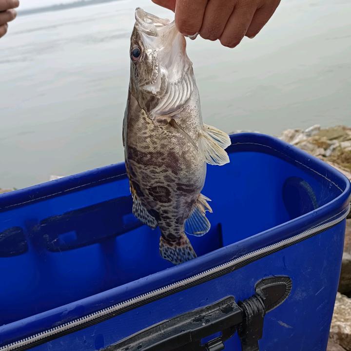 石材干挂