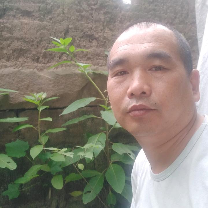 强哥@