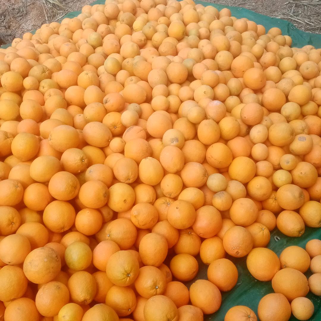 用户6137633643741知足常乐
