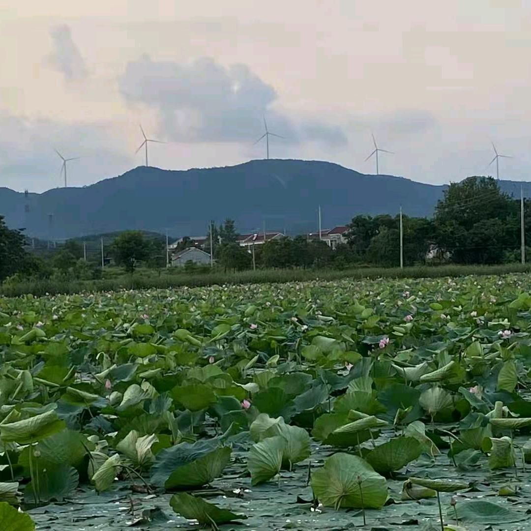 @在下花不完