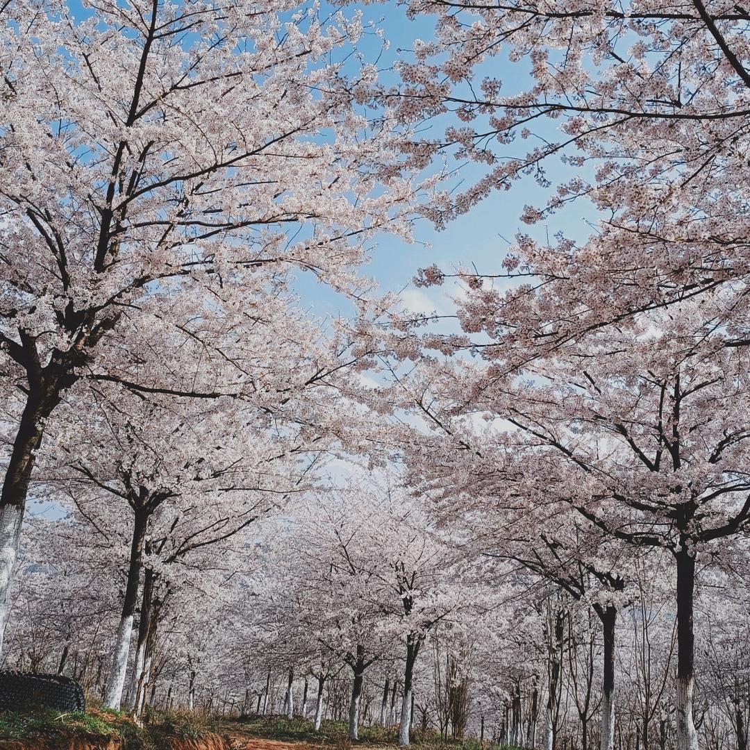 俩小一大😋😋