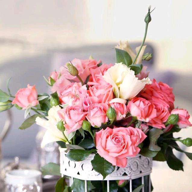 君子如兰，思之可追