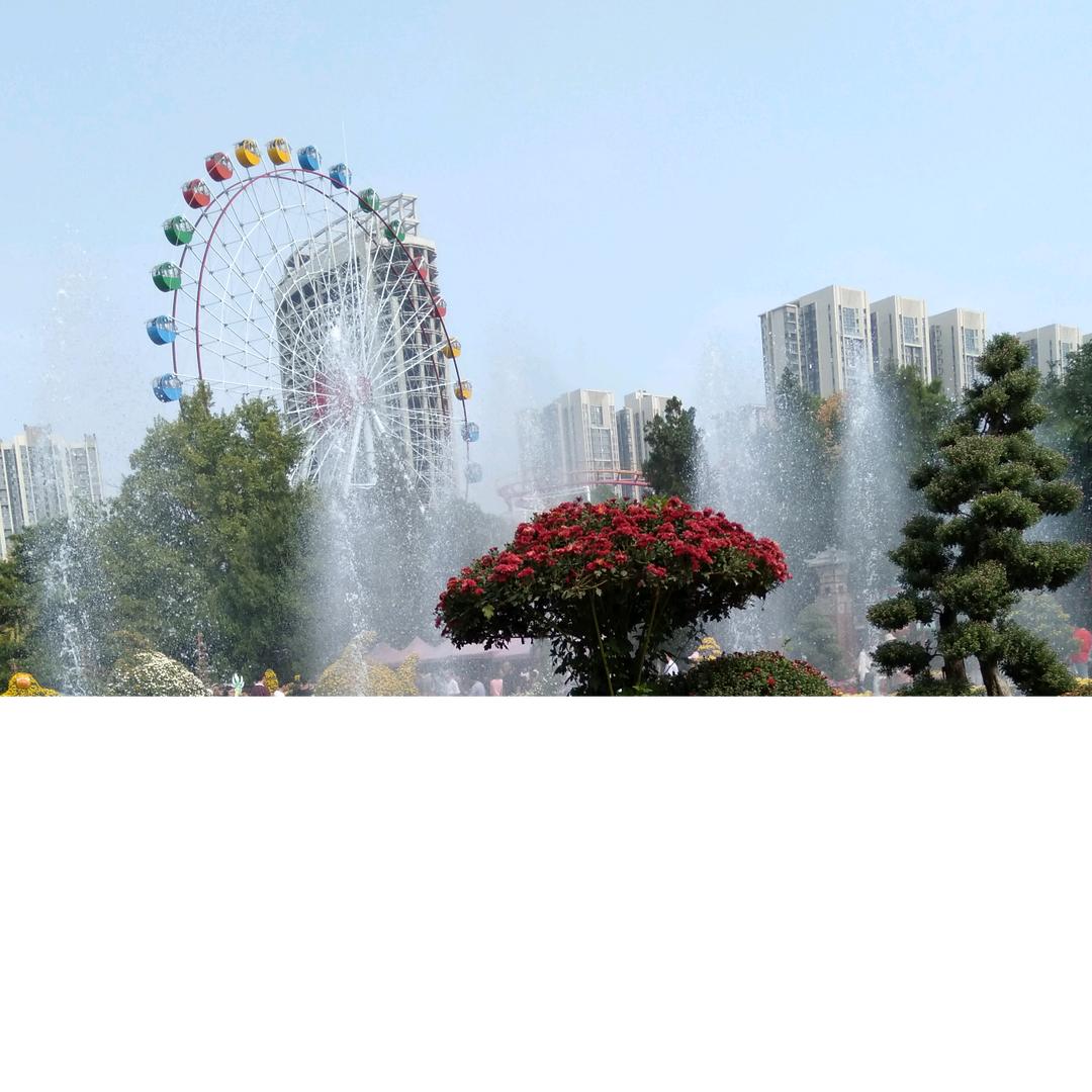 水仙花