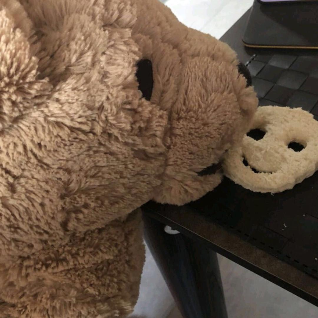 穿毛裤的小拉泽@抖音