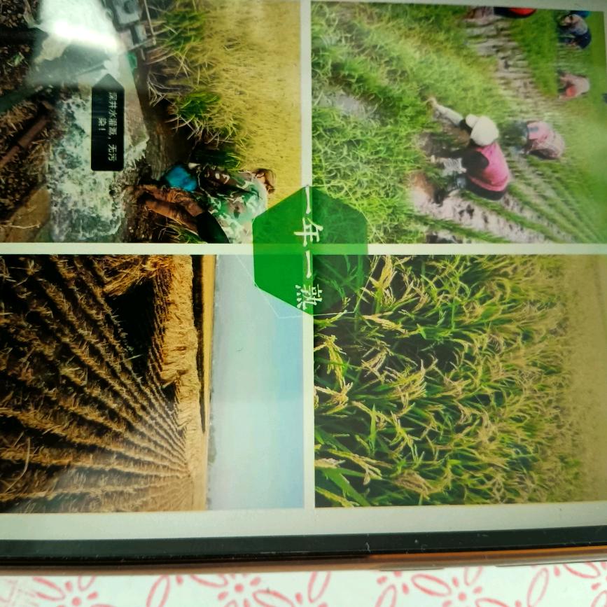 马提国家庭农场（黑龙江鸡西大米自产自销）