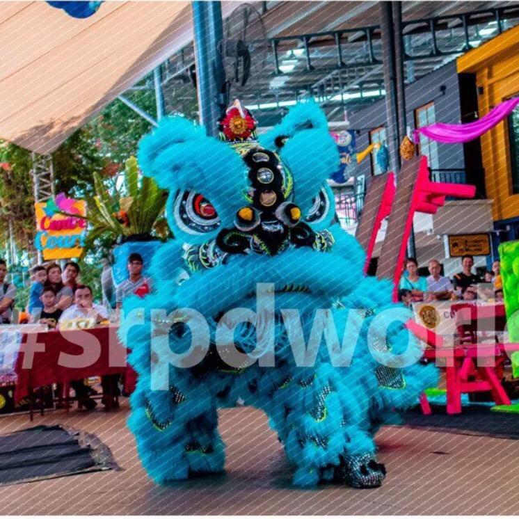 🌈 爱舞狮的文仔ゞ