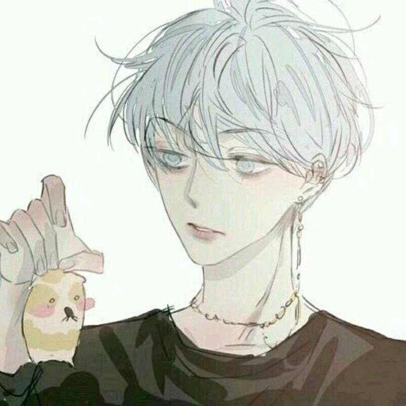 婷月