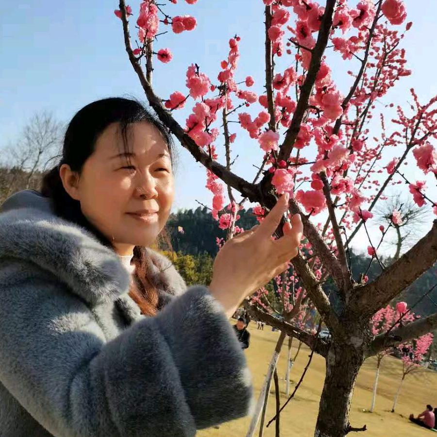 人生如梦