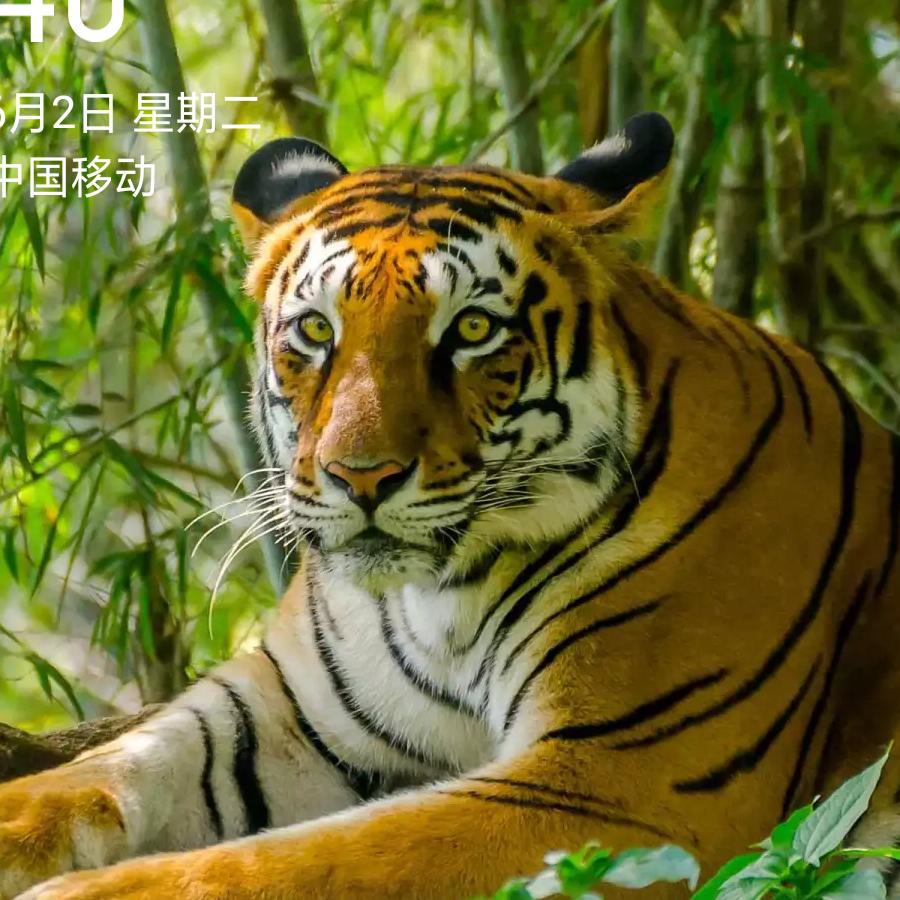 命中注定！