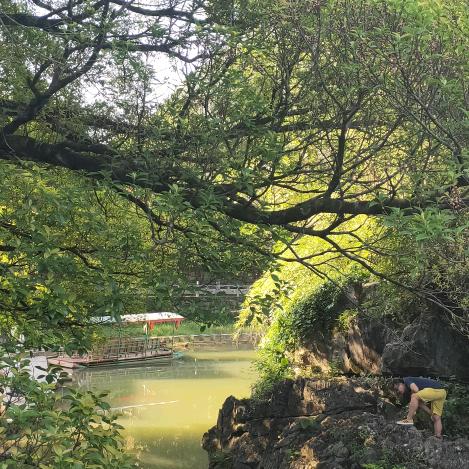 用户8645513339646，，