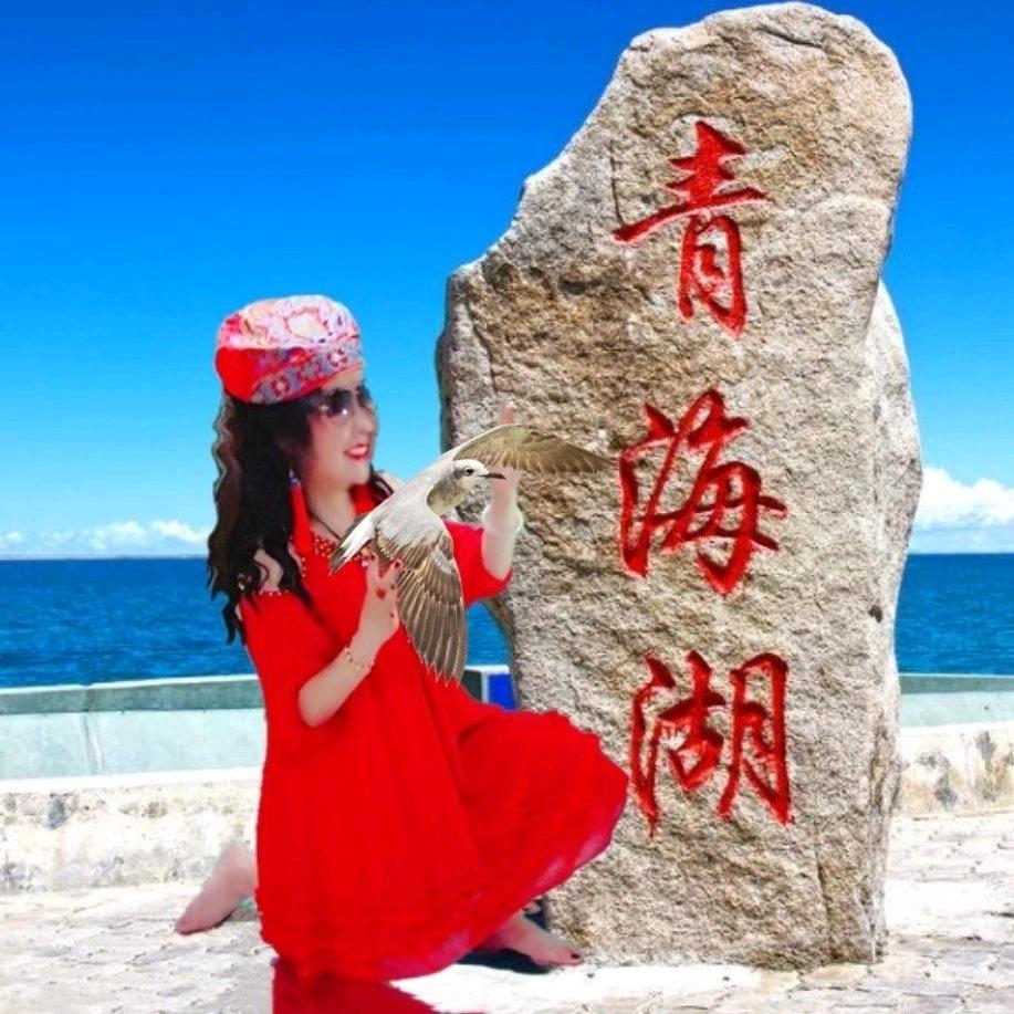 华丽贵人