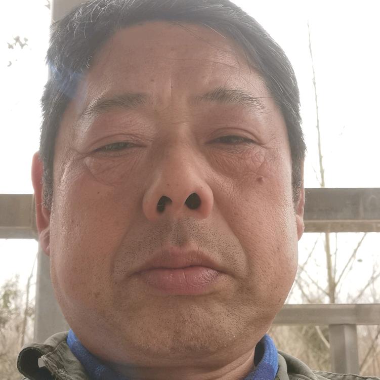 张和平