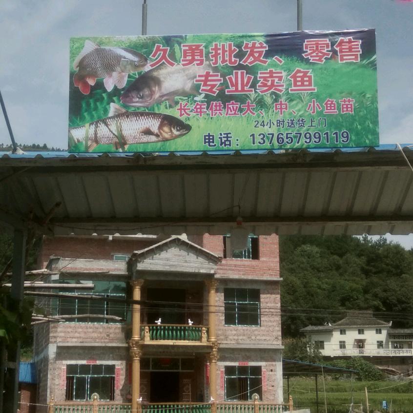 石久勇