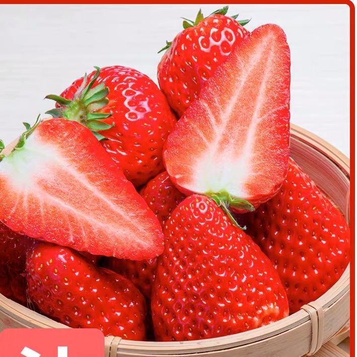 枣阳市凯胜种植园