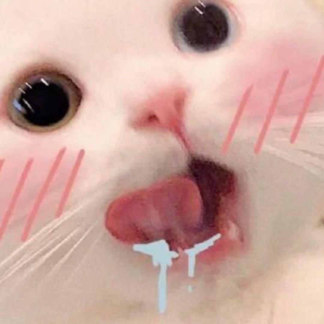 bzmxh头像