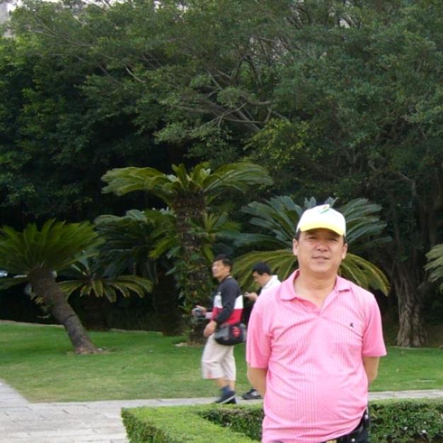 鹤城维维