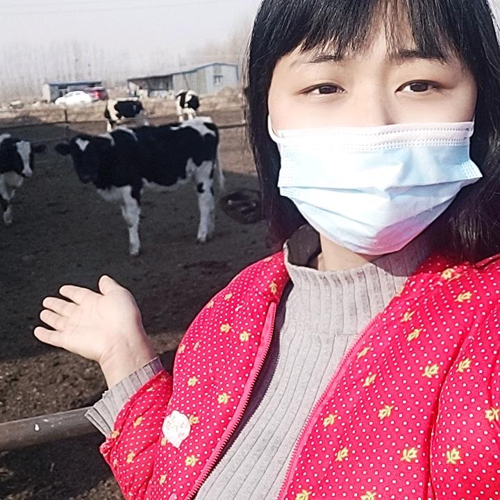 胖妹