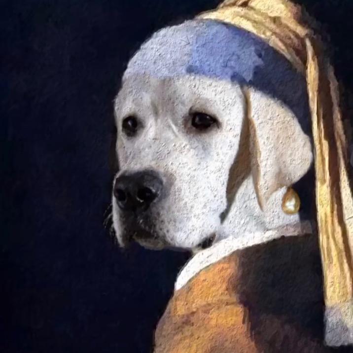 哆哆🧚🏻‍♀️