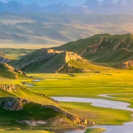 《封存余生》《农村人》