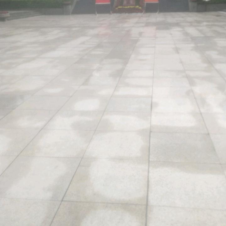 杨彦武