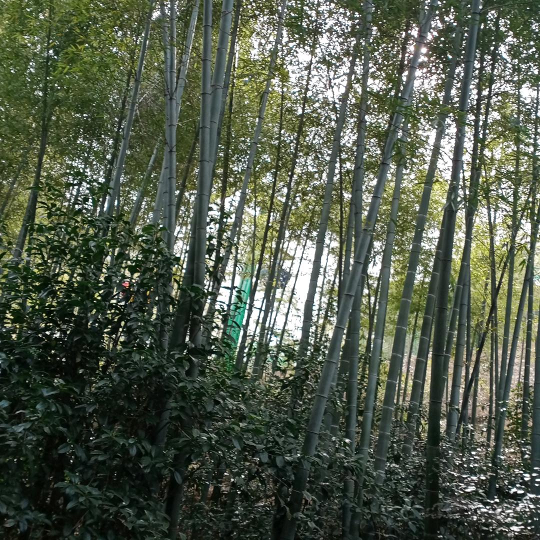 世界好大，想去看看