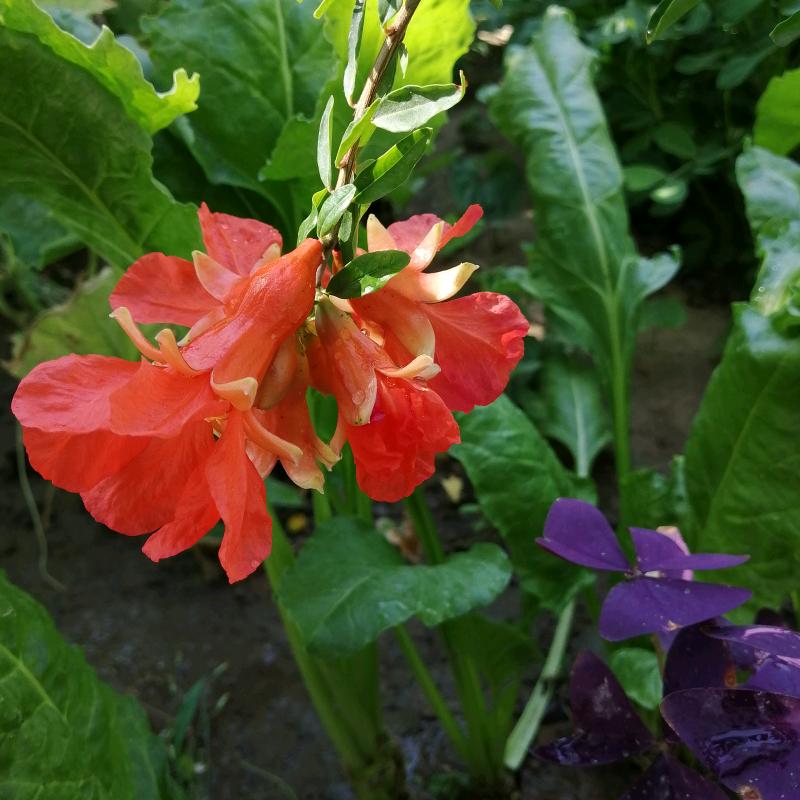 手机用户508976229