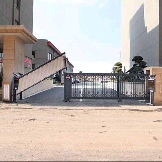 我是你的芫荽菜