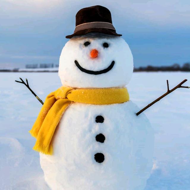 留忙兔🐰🐰🐰