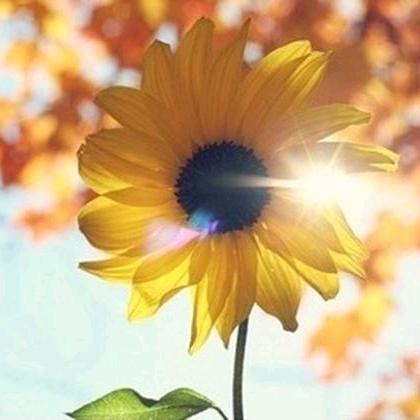 风和日丽的夏天