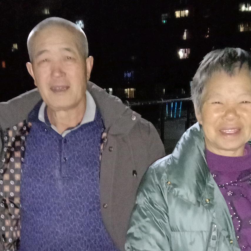 固执