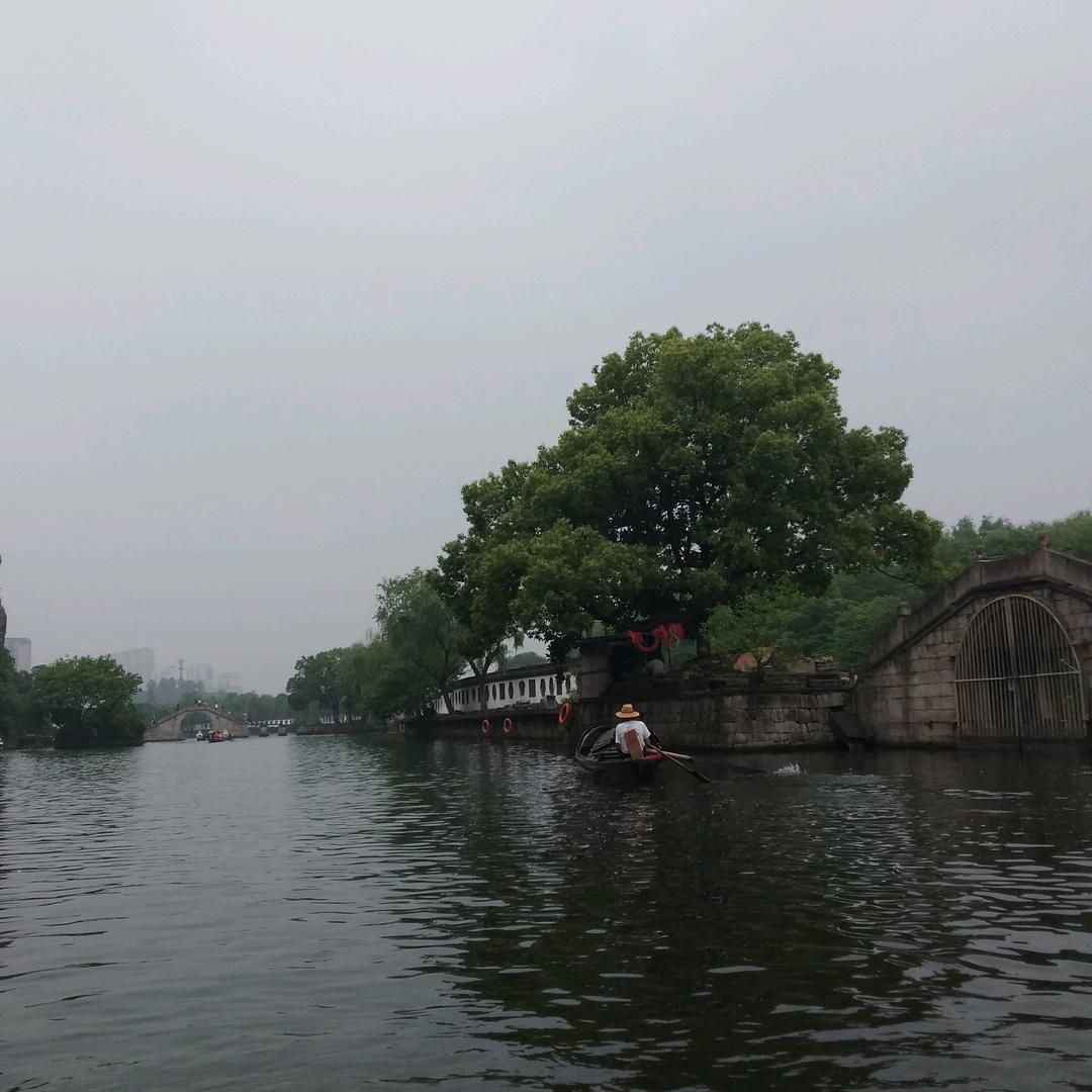 毛毛（云淡风轻）