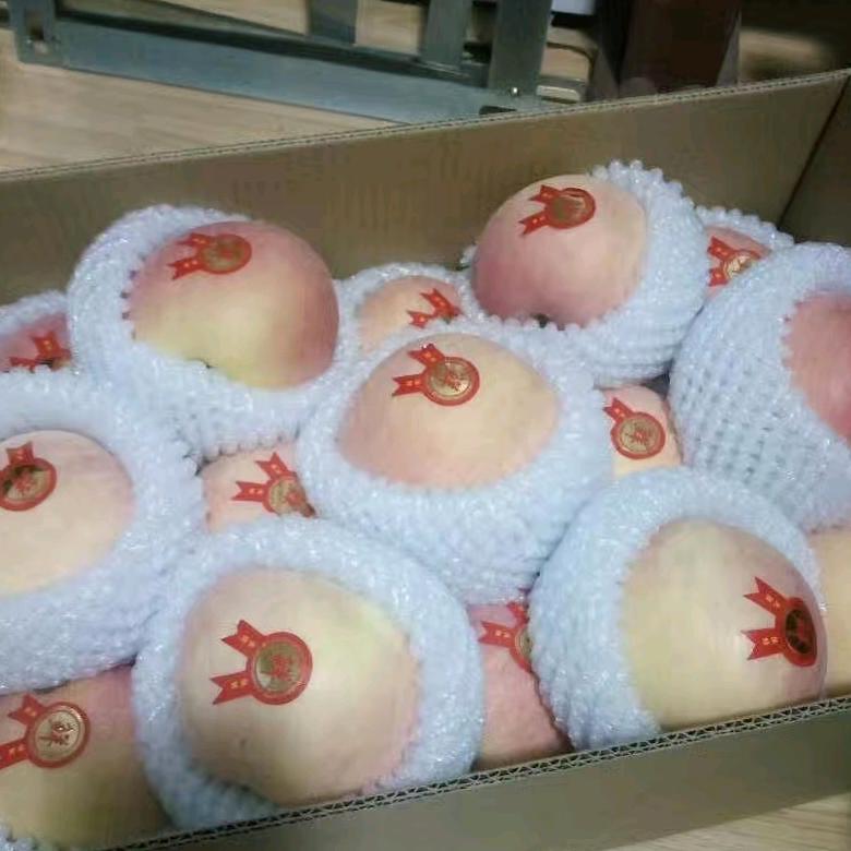 潇洒姐姐