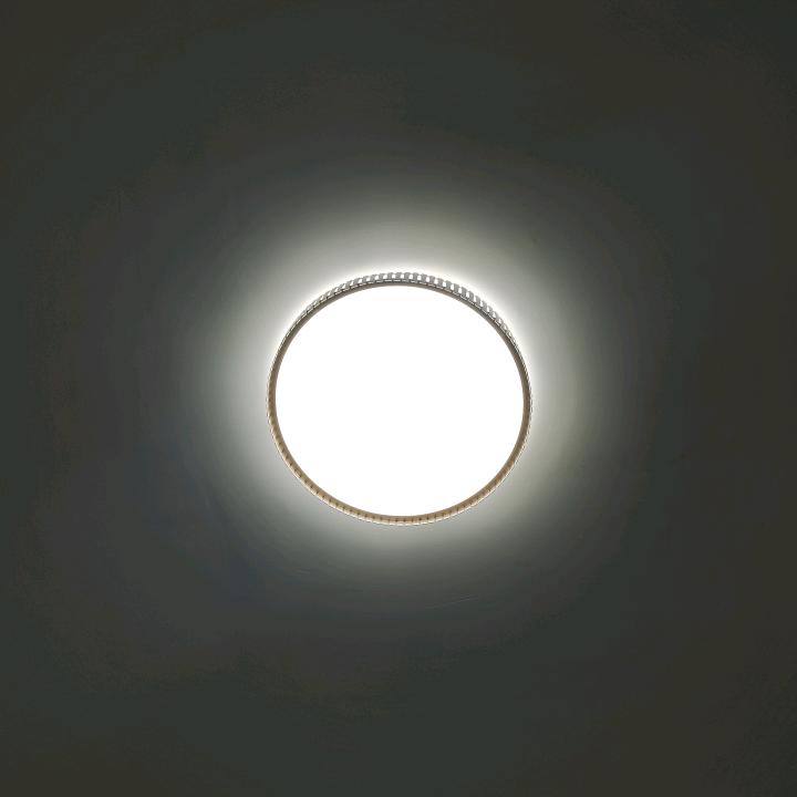 袁