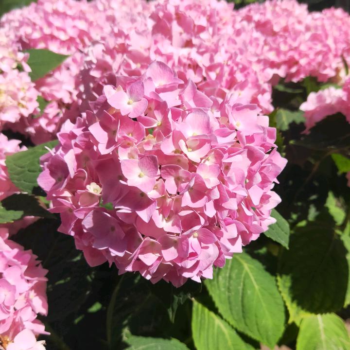 邹志明5695525904990