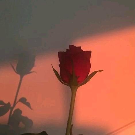 💞Ꭽℯ⃝师来运转࿐💞