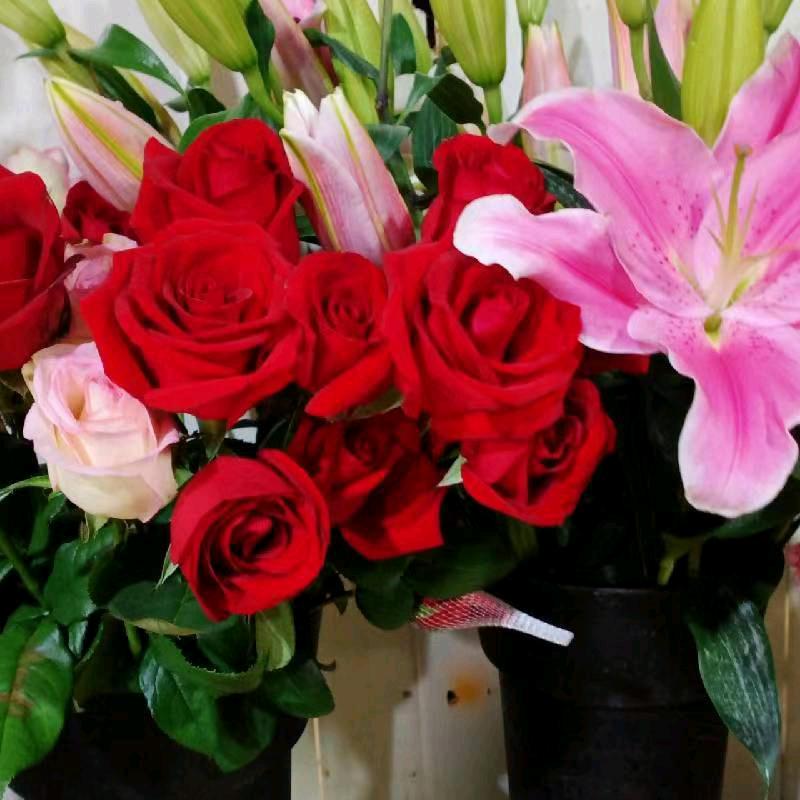一只花🌹