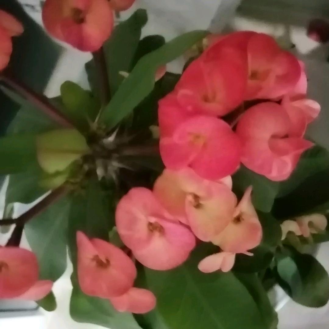 用户6024304799188
