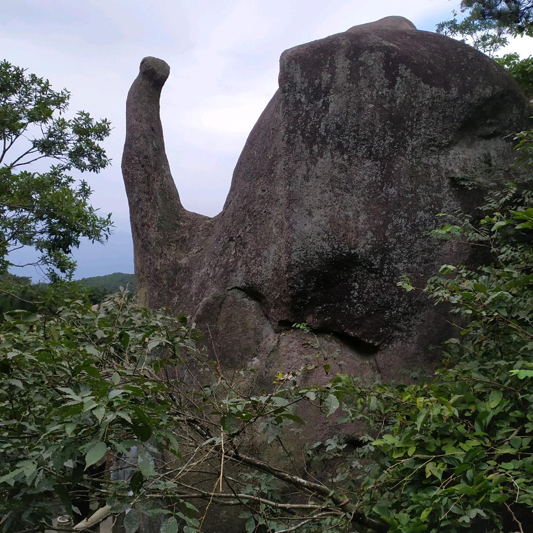 用户318878282144燕子