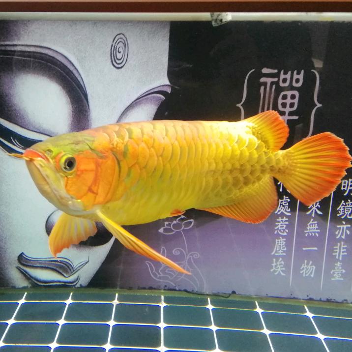 和为贵！
