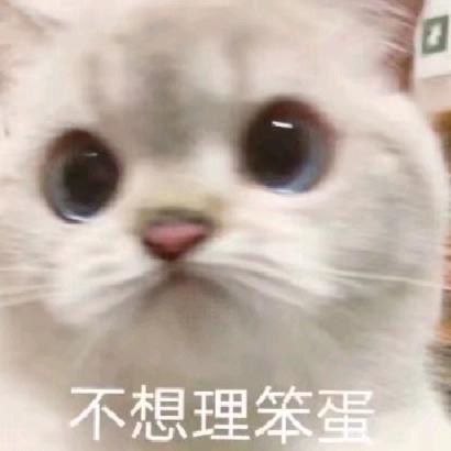 悠悠悠悠悠