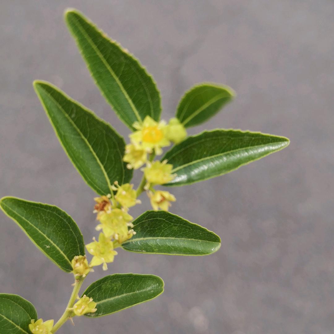 春暖花开