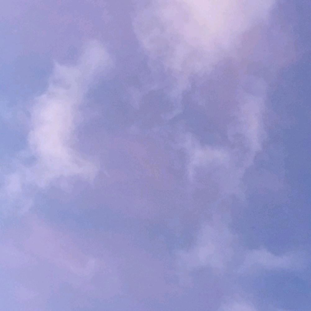 真秋
