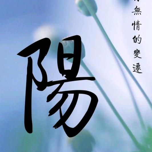 阳光骄子