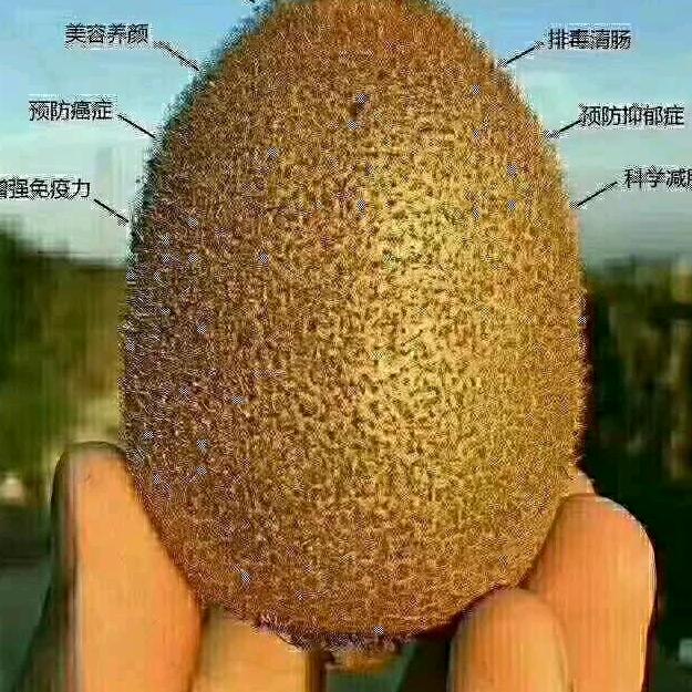 和谐