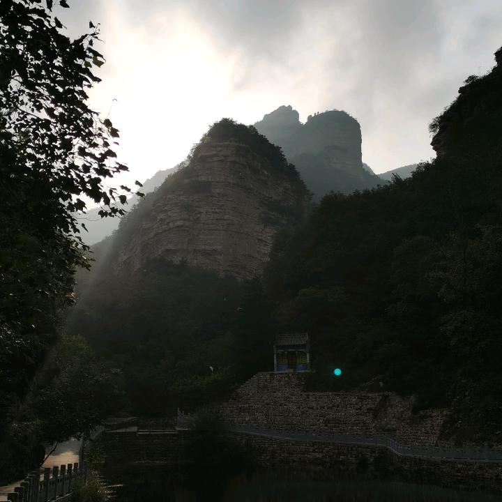 葡萄架下
